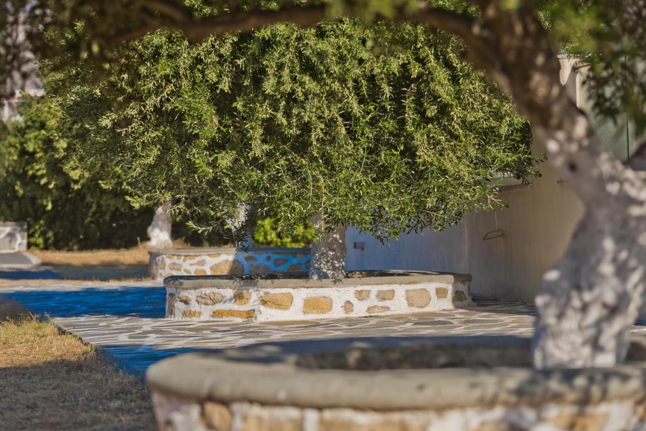 Olive Studios Karpathos Studio #4 Экстерьер фото