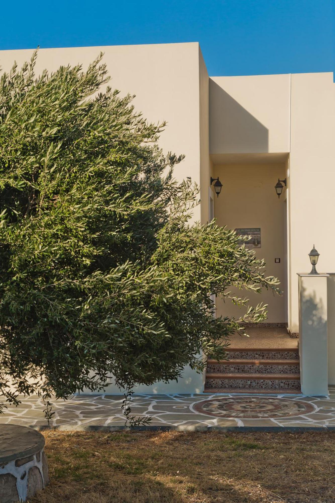 Olive Studios Karpathos Studio #4 Экстерьер фото