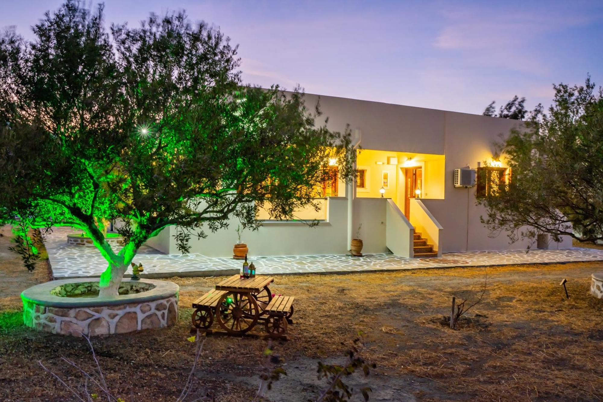 Olive Studios Karpathos Studio #4 Экстерьер фото