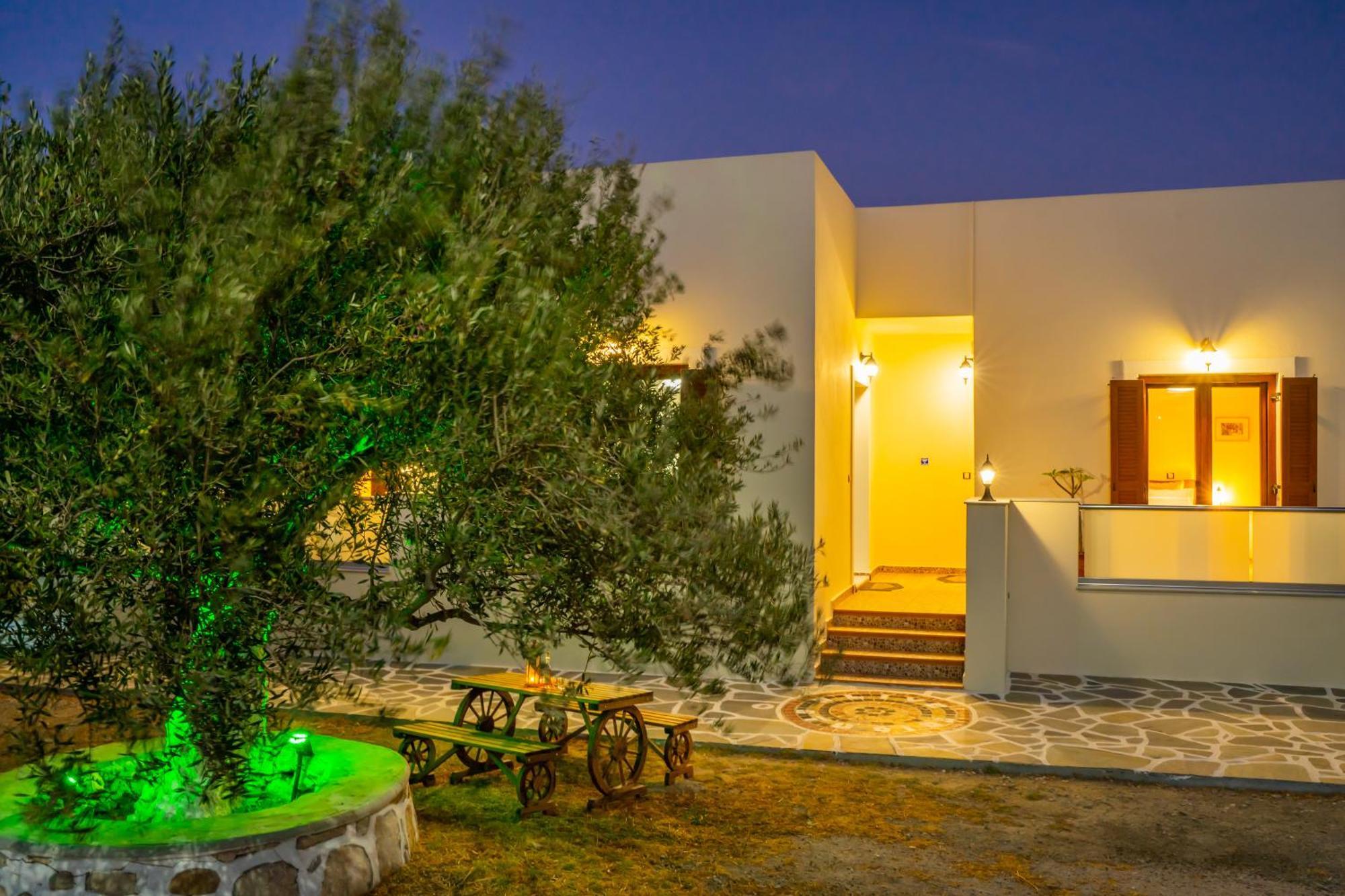 Olive Studios Karpathos Studio #4 Экстерьер фото