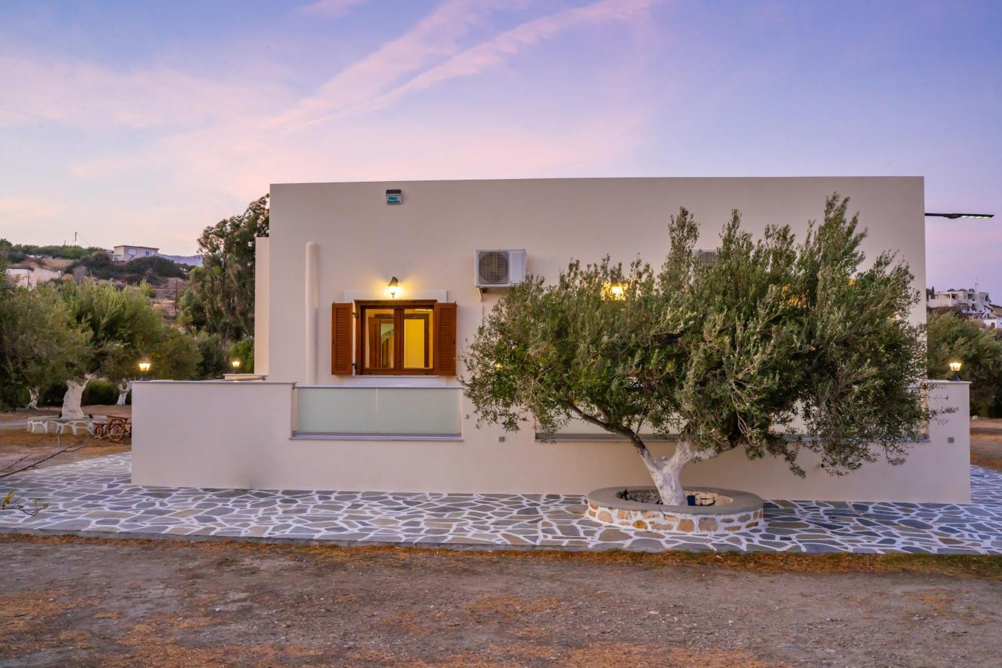Olive Studios Karpathos Studio #4 Экстерьер фото