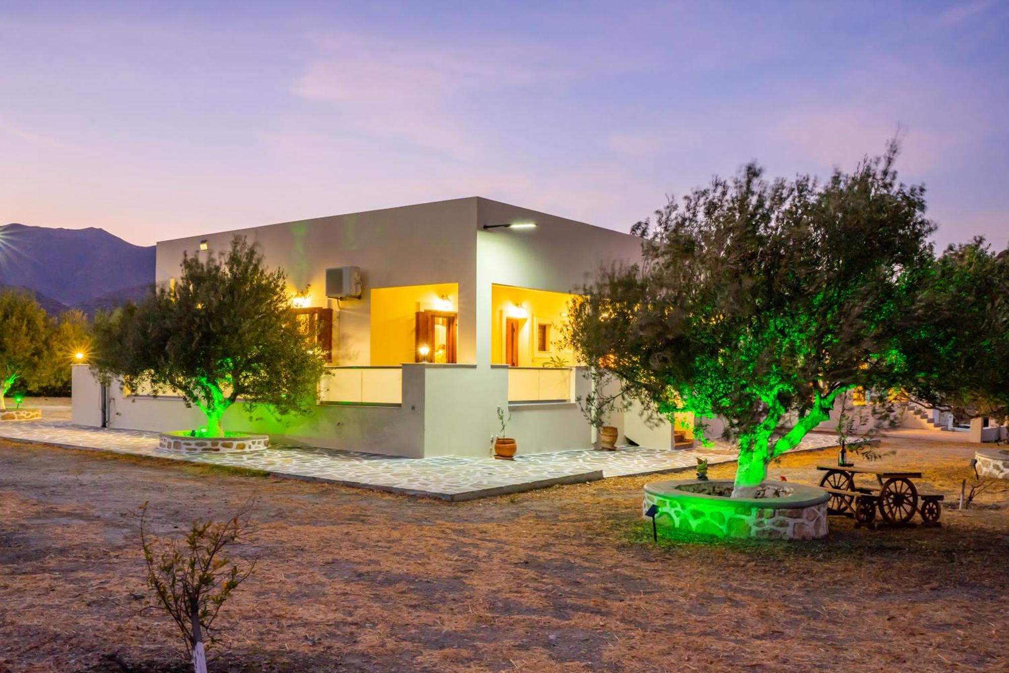 Olive Studios Karpathos Studio #4 Экстерьер фото
