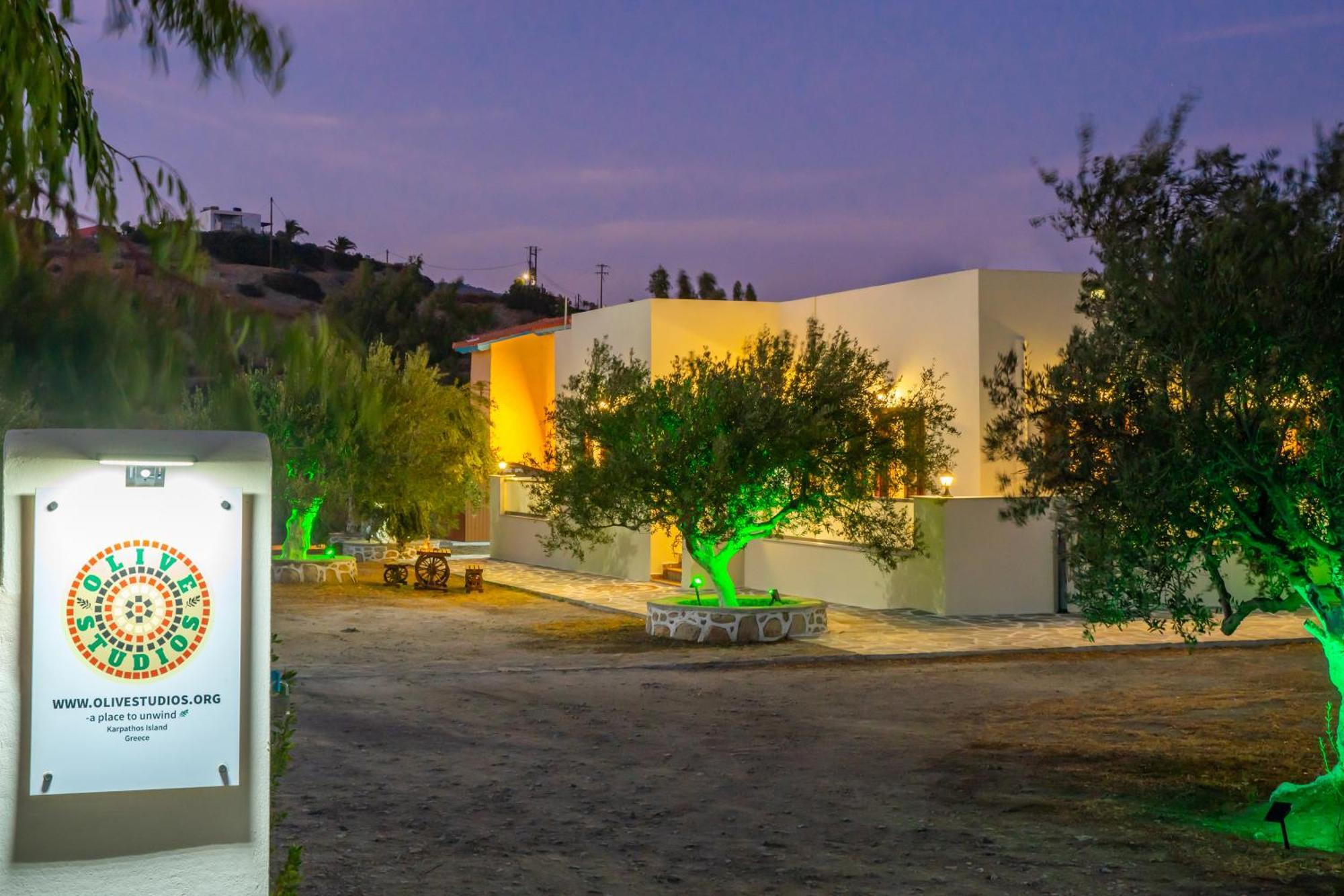 Olive Studios Karpathos Studio #4 Экстерьер фото